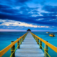 TEST 1