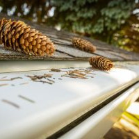 Gutter Guard