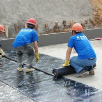 Crawl Space Repair