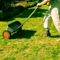 Landscape Design