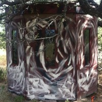 Hunting Windows & Doors