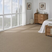 Carpet Cleaning