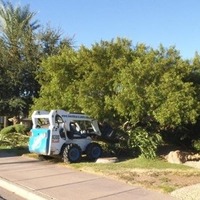 Phoenix Landscapers 