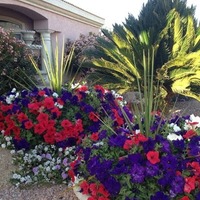 Yard Mainenance