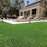 Turf