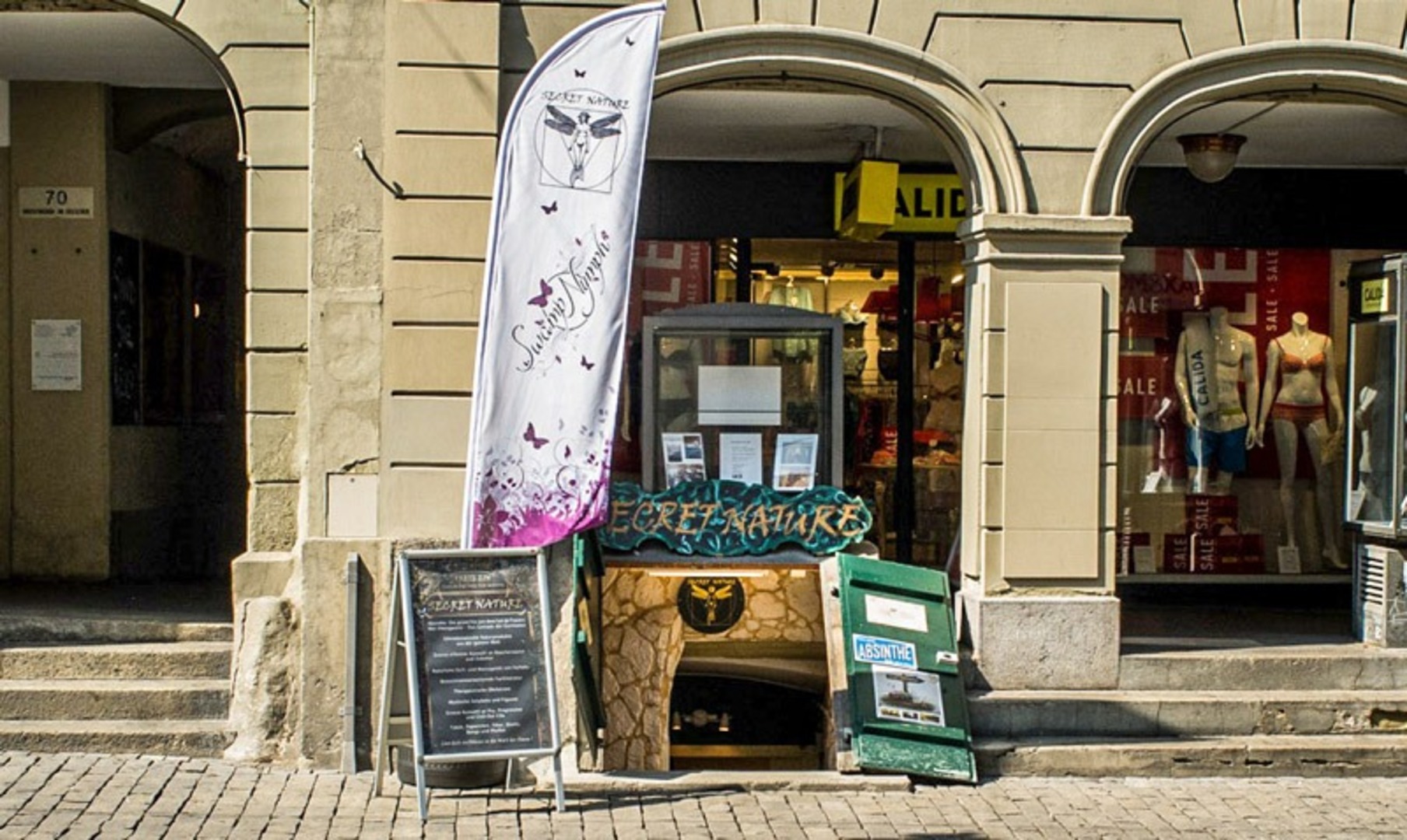 blauer lotus