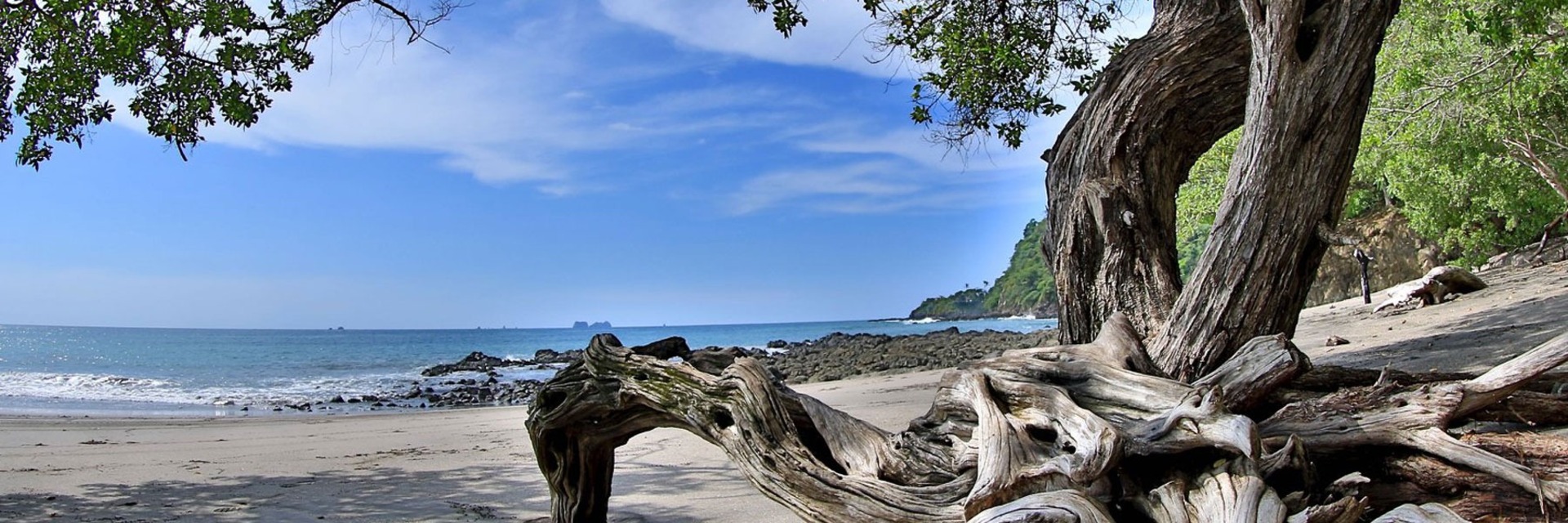 Flamingo Beach Realty