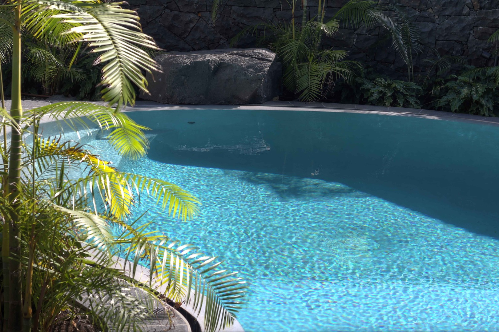 Auckland inground pools